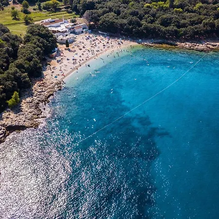 Modern Nerina With Private Pool Near 풀라